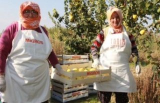 MİGROS’TA HASAT ZAMANI