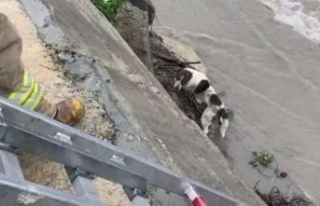 Ataşehir'de, Kurbağalıdere'ye düşen...
