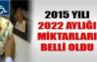2022 Engelli Maaşı 2015 rakamları belli oldu