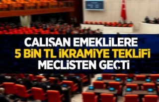 Çalışan emeklilere 5 bin TL verilmesini öngören...