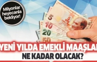 Emekli maaşlarına ne kadar zam yapılacak?