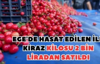 İlk hasat edilen kiraz kilosu 2 bin liradan satıldı