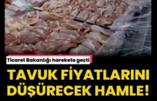 Tavuk fiyatını düşürecek hamle! 