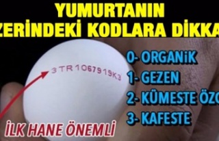 Yumurtanın Üzerindeki Kodlar Ne Anlama Geliyor