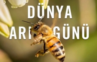 Dünya Arı Günü 