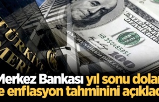 Merkez Bankası yıl sonu dolar ve enflasyon tahminini...