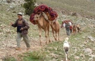 YÖRÜKLER VE VERGİ