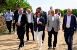 Maltepe Belediyesi, “can dostlar”ı için bakım...