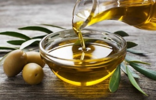 BAHÇEDEN SOFRALARA ZEYTİNYAĞI YOLCULUĞU BAŞLADI