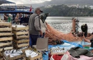 Bizim tutacağımız balığı palamut tuttu ve yedi
