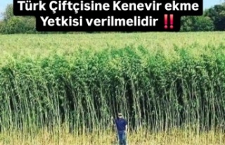 Türk Çiftçisine Kenevir Ekme Yetkisi Verilmelidir!