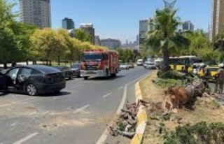 Ataşehir'de ağaca çarpan otomobilde 1'i...