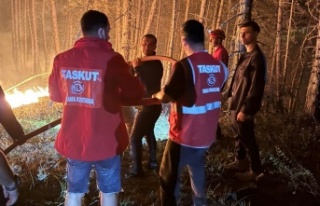 Sahada Bir Vali: Yangına Karşı Vicdan Mücadelesi
