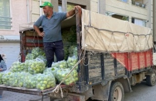 Eskişehirli Çiftçiden Fiyat Protestosu: 5 Ton Biberi...