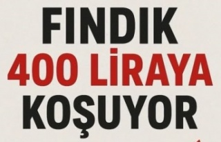 Fındıkta Fiyat Yarışı: 400 TL’ye Doğru Gidiyor!