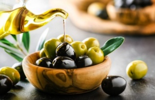 Türk zeytin ve zeytinyağı sektörü Kanada’yı...