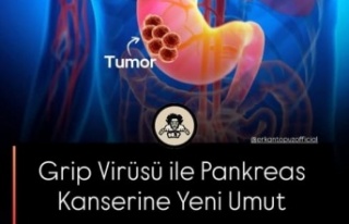 Pankreas Kanserine Yeni Umut