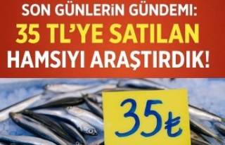 Hamsinin Kilosu 35 TL