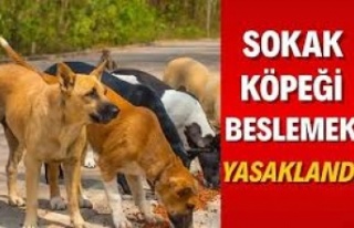 İstanbul Valiliği'nden flaş açıklama: Sokak...