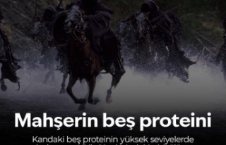  Ölüm Riskini Gösteren Beş Kan Proteini