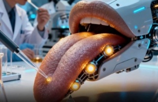 Tat Alan ve Öğrenen Yapay Dil Geliştirildi