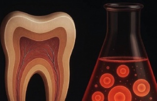 Yirmi Yaş Dişleri, Parkinson ve Alzheimer Tedavisinde...