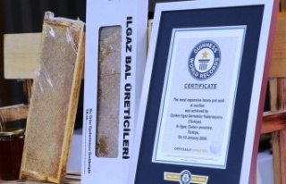 Ilgaz Balı Guinness Rekoru Kırdı: Dünyanın En...