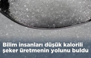 Yeni Araştırma: Doğal Şeker Tagatoz ile Daha Az...