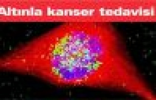 Altınla kanser tedavisi yapılacak