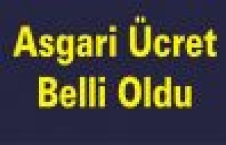 Asgari Ücret Belli Oldu