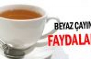 Beyaz çayın faydaları