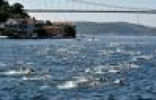 Boğaziçi yüzme yarışları başlıyor