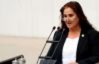 CHP İstanbul Milletvekili Sabahat Akkiraz 