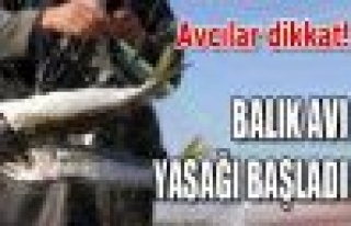 Deniz Avındaki Yasak Bugün Başlıyor!