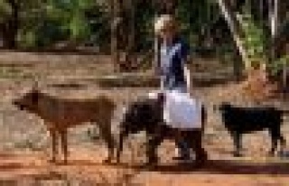 Fil,Kendini Köpek Sanıyor!