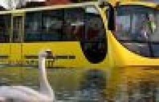  Haliç'de Seferlere Başlıyor