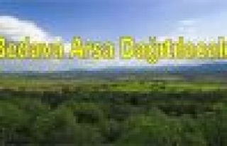 Halka bedava arsa dağıtacak