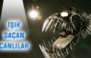  Işık Saçan Canlılar