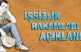 İşsizlik oranı %10,5 seviyesinde gerçekleşti