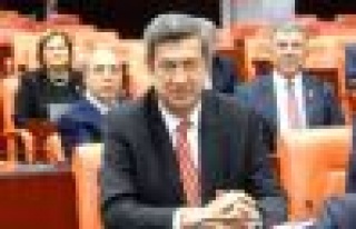 İstanbul-Şile Yolu İnşaatı 8 Yıldır Bitmedi