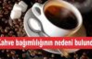 Kahve bağımlılığının nedeni bulundu