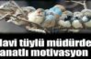 Mavi tüylü müdürden kanatlı motivasyon mesajı