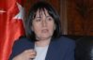 Meral Akşener'in aracı  kurşunlandı.