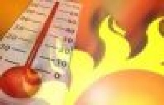 Meteoroloji'den vatandaşlara sıcak hava uyarısı