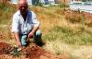 Mezarlıkta gördüklerine inanamadı