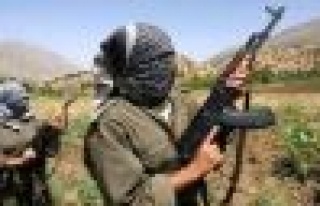 PKK'nın BİTLİS’in Tatvan İlçesi’nde kaçırdığı...
