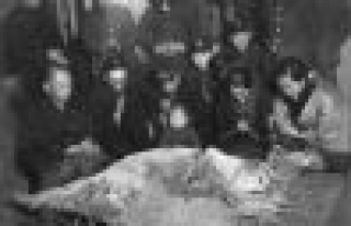 Sadık Köpek Hachiko'nun Hikayesi