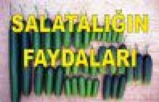 Salatalığın Faydaları
