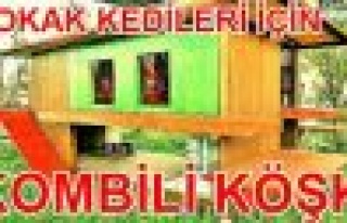 Sokak kedilerine kombili köşk 