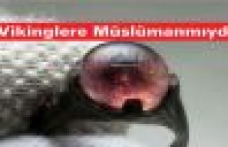 Vikinglere Müslümanmıydı